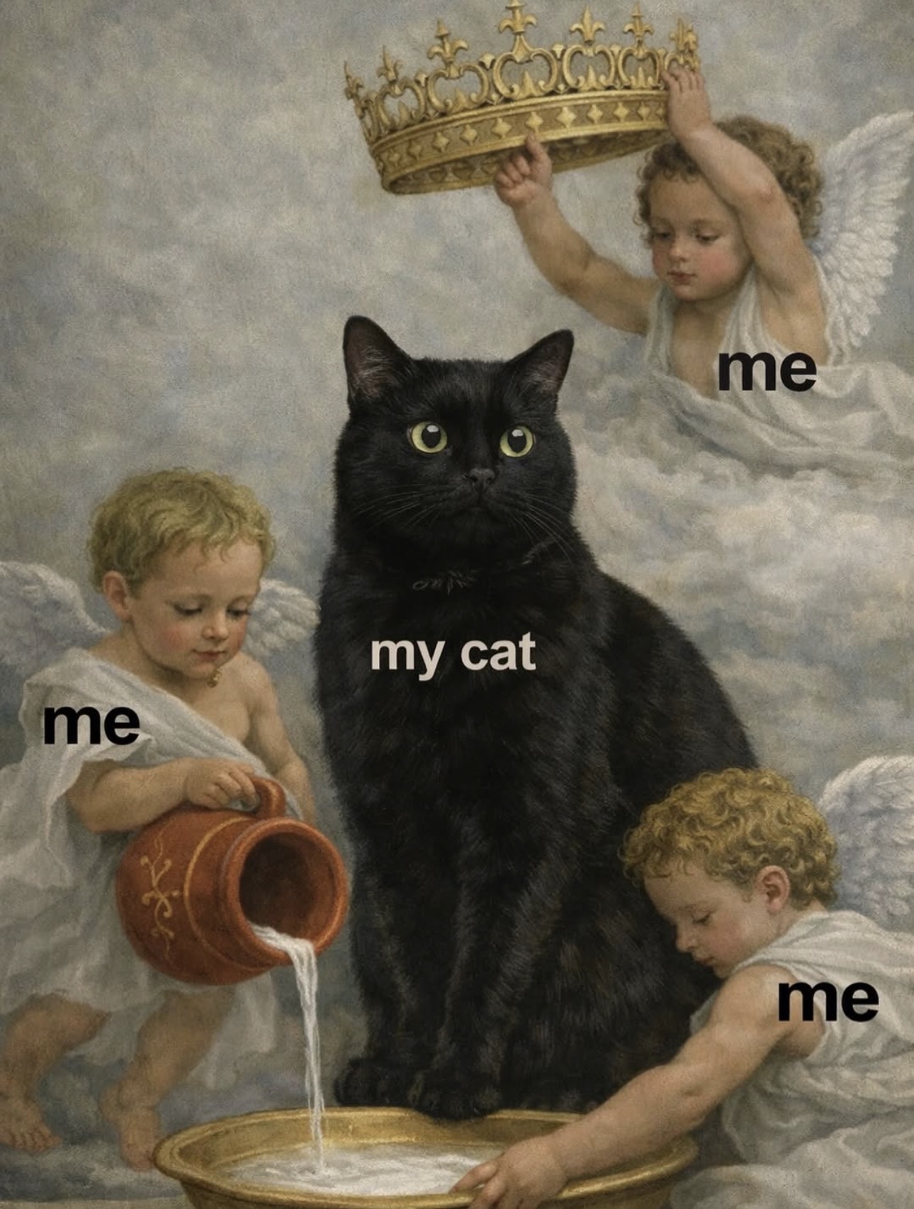 5 красивых котята
